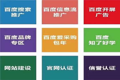 案例剖析：百度竞价排名助力企业突破困境